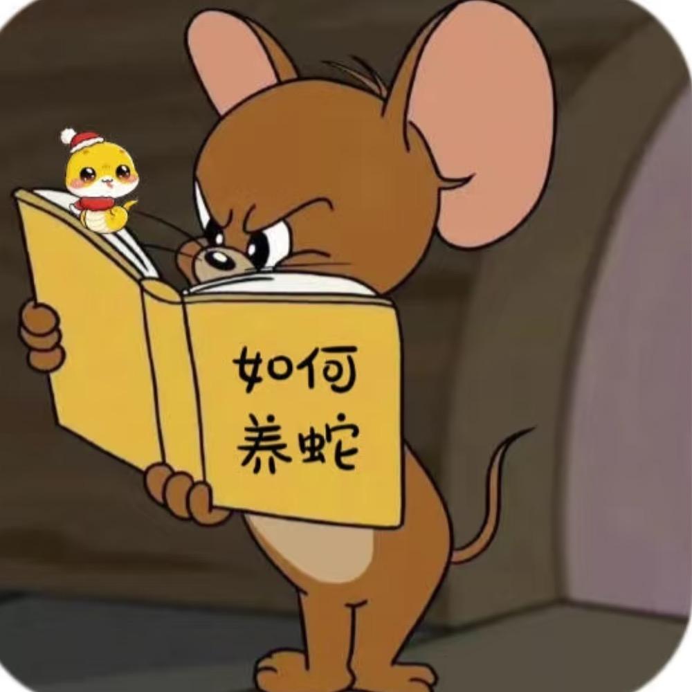 小橙子🍊