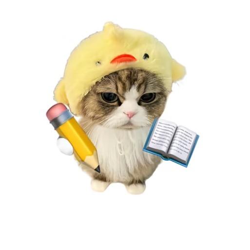 春夏季📖🪪