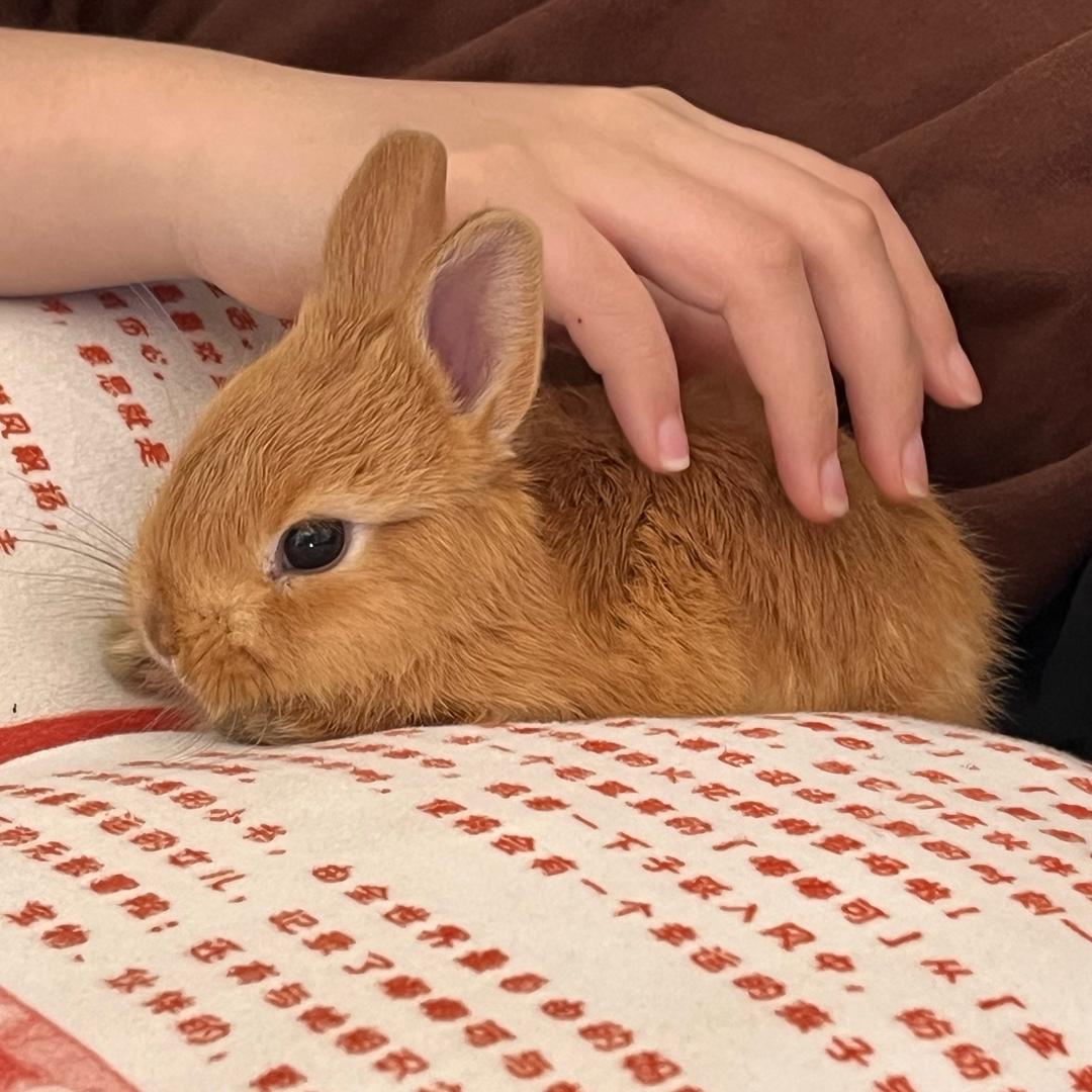 月宝的幸福生活