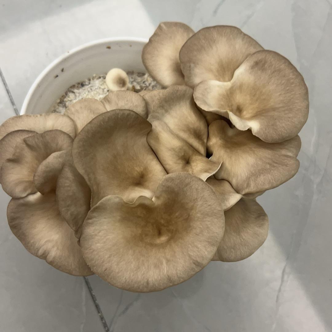 运动爱好者