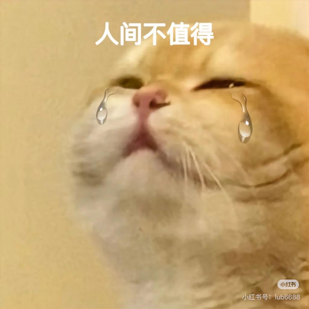 知恩✅