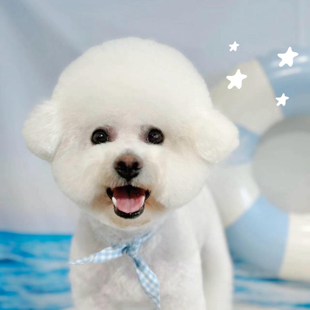 🐼泉水里的小鱼儿🦩