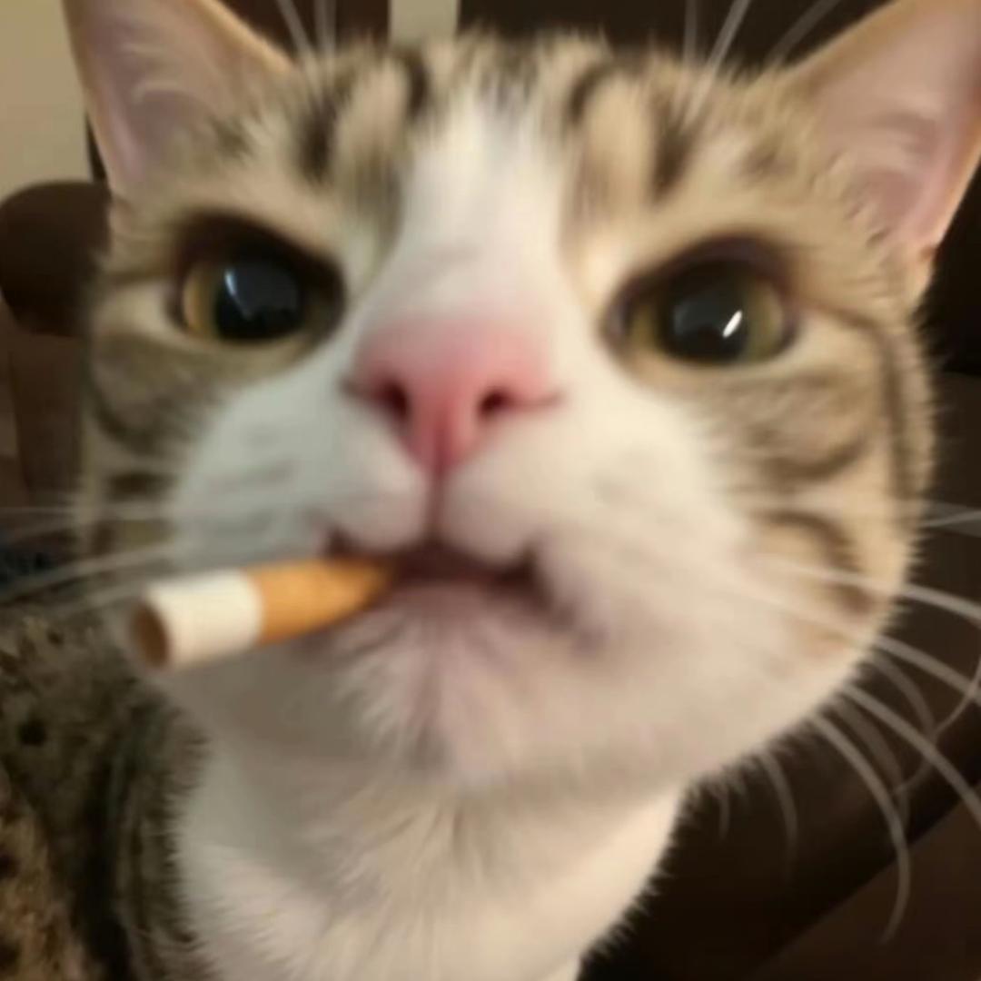 小鱼.🫧