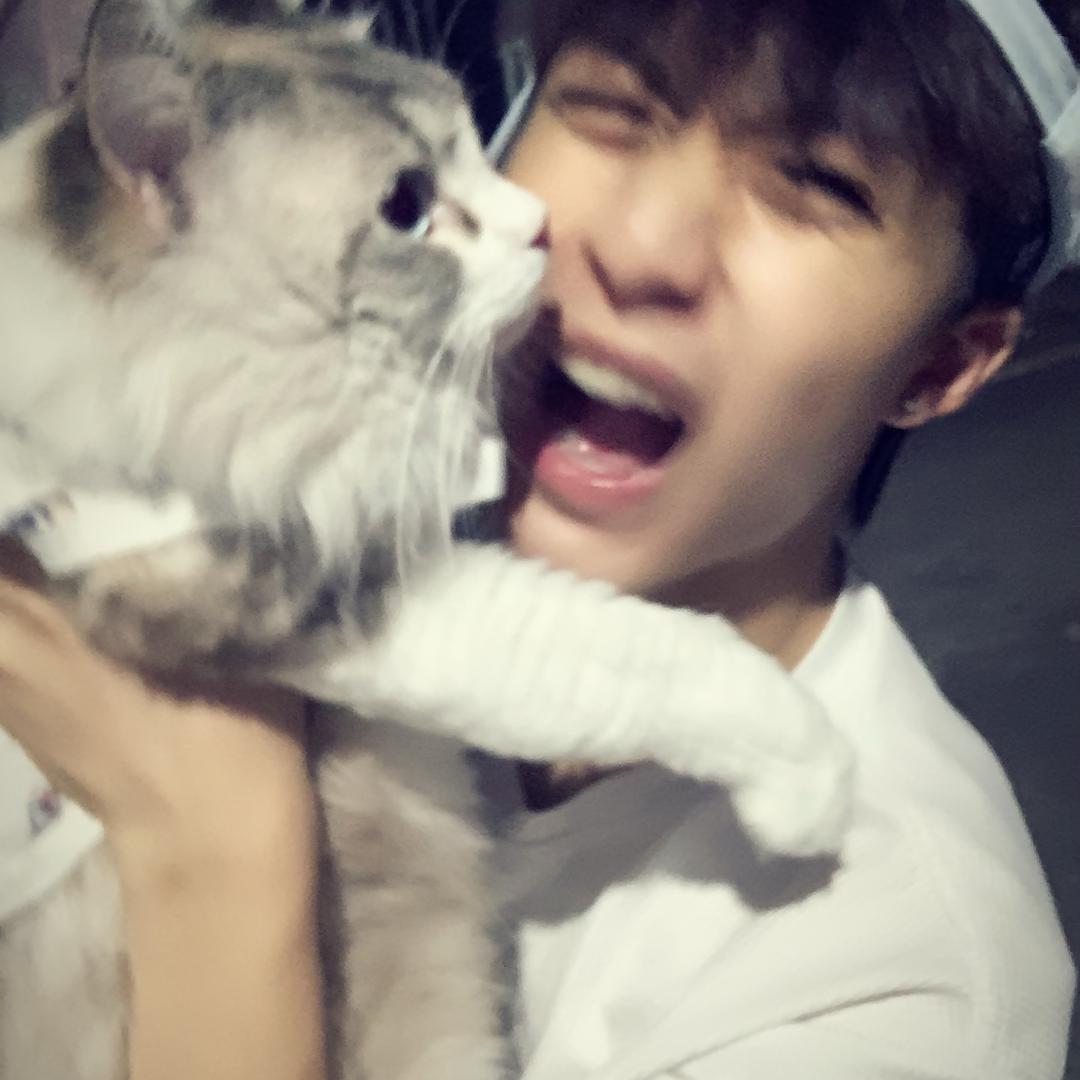 楠楠（我的世界）