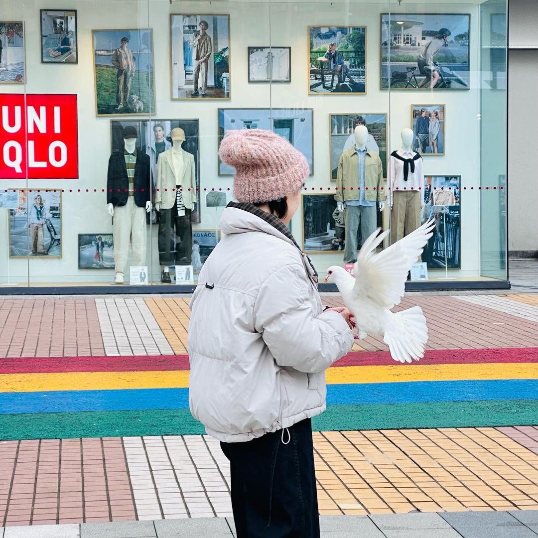 @蓝兰