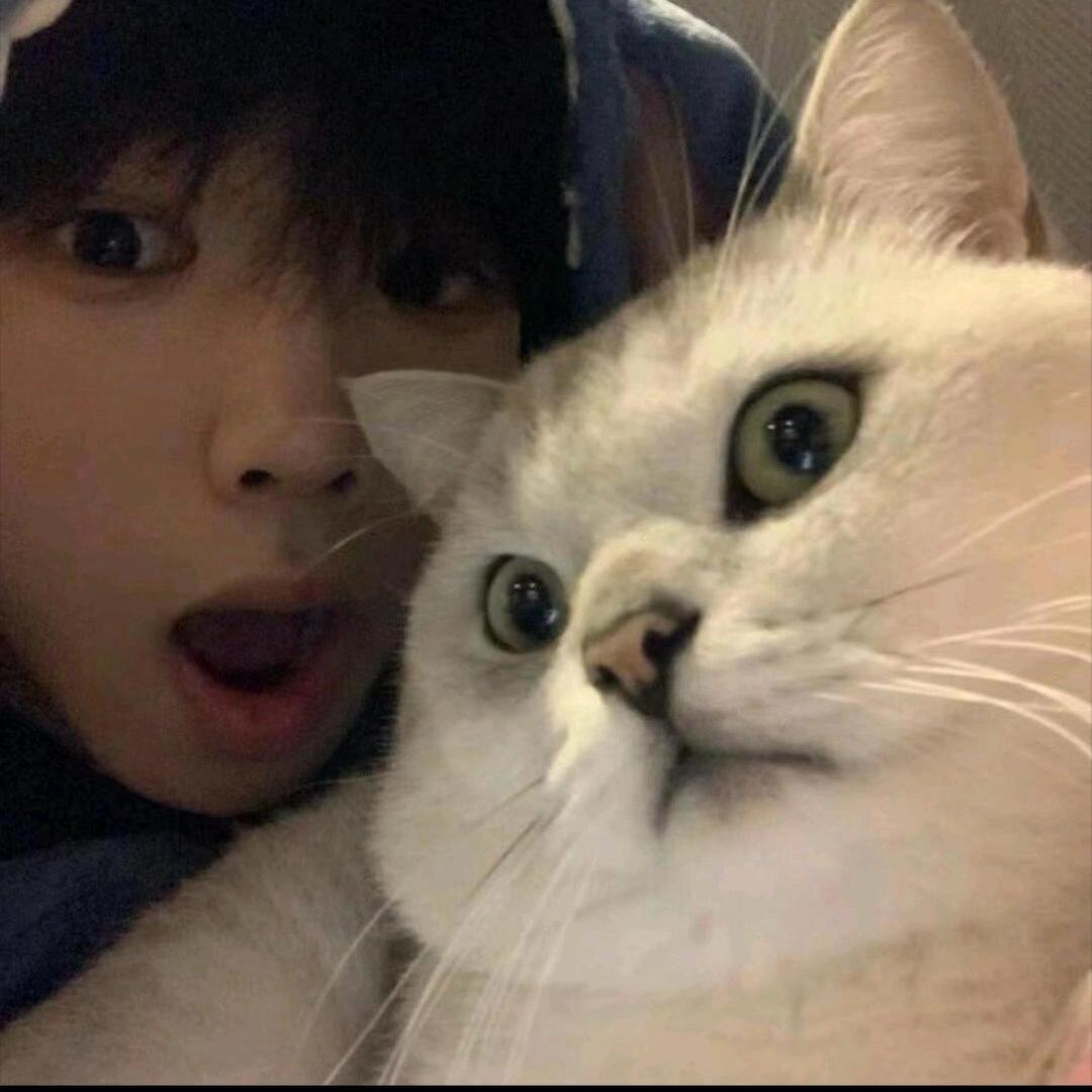 给我买个西瓜