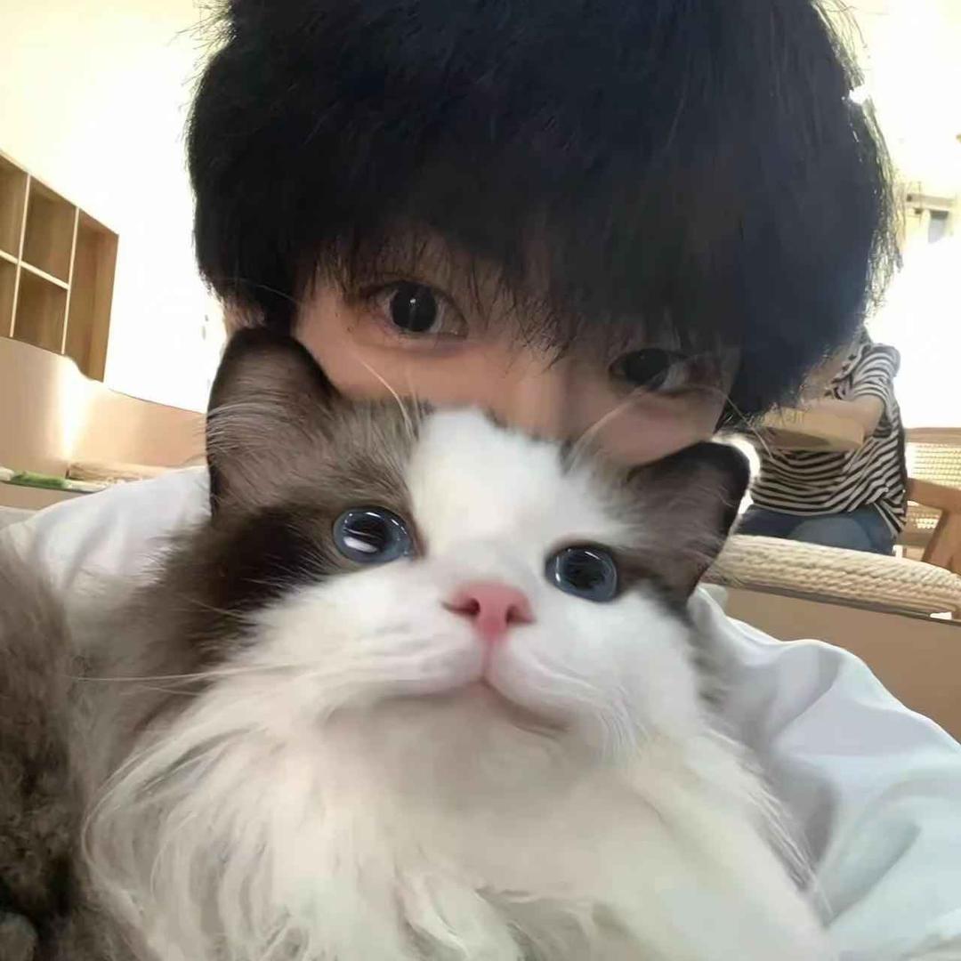 洛风