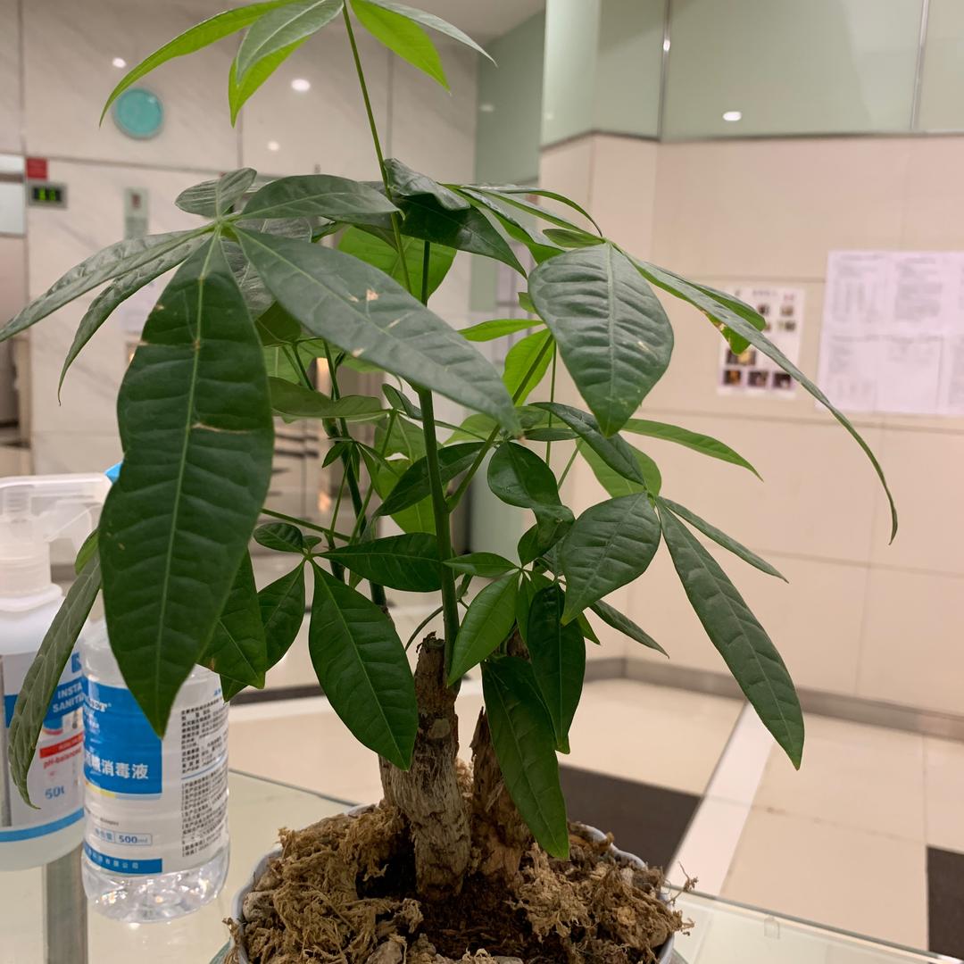 命一样珍惜