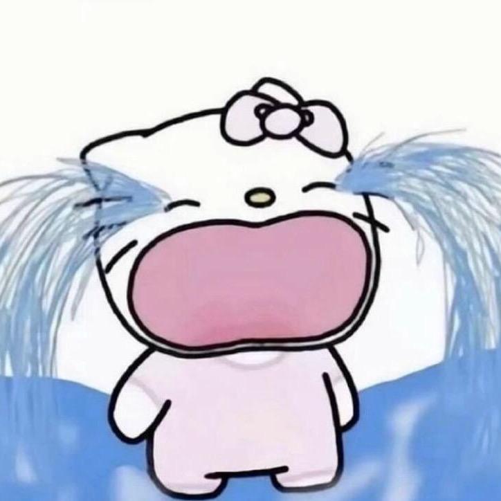 不打烊的kitty