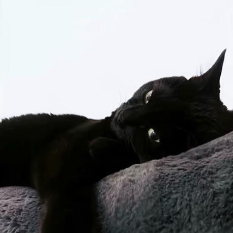 U 点小糕冷 ꪔ̤̥ꪔ̤̮ꪔ̤̫