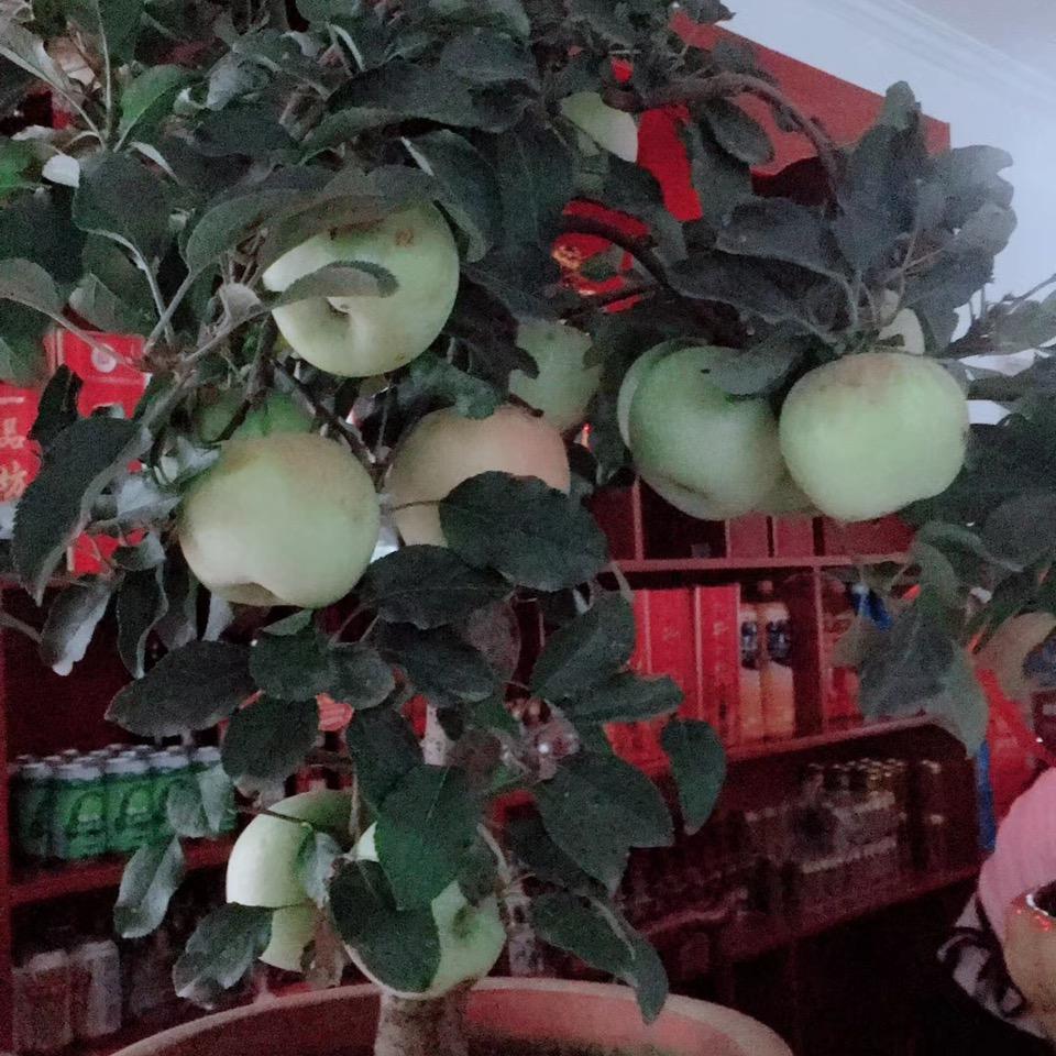 小土豆