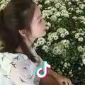 应应