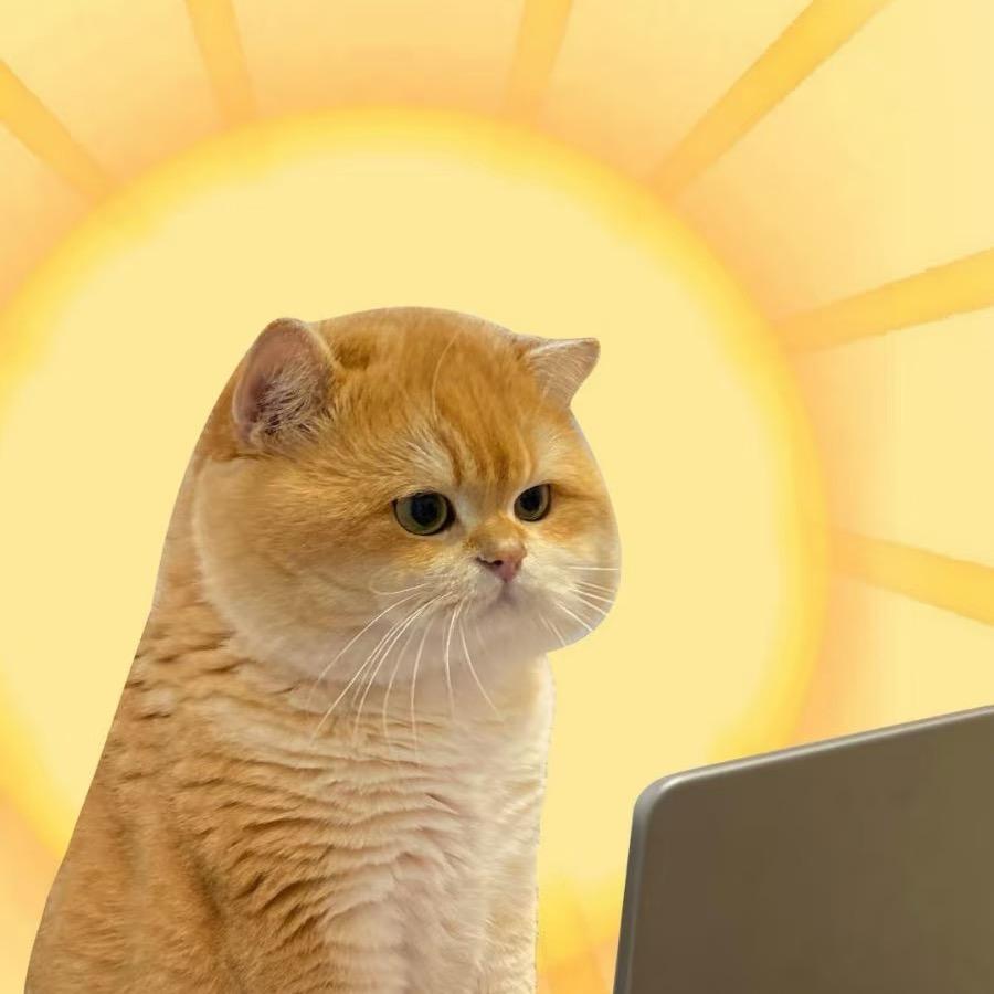 大脸多多多多财猫🐱