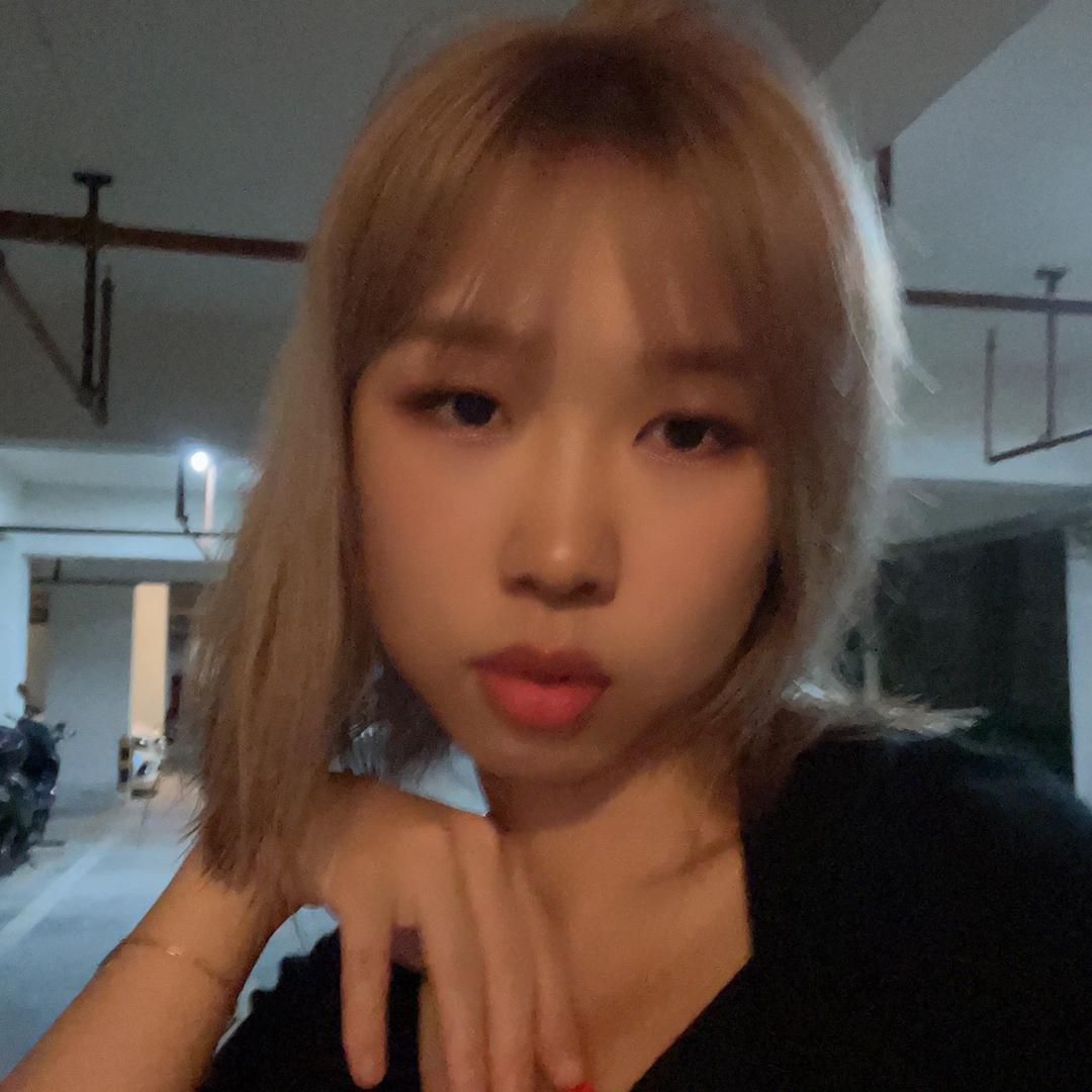 紫晴仙女