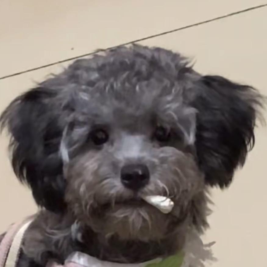 混血儿.