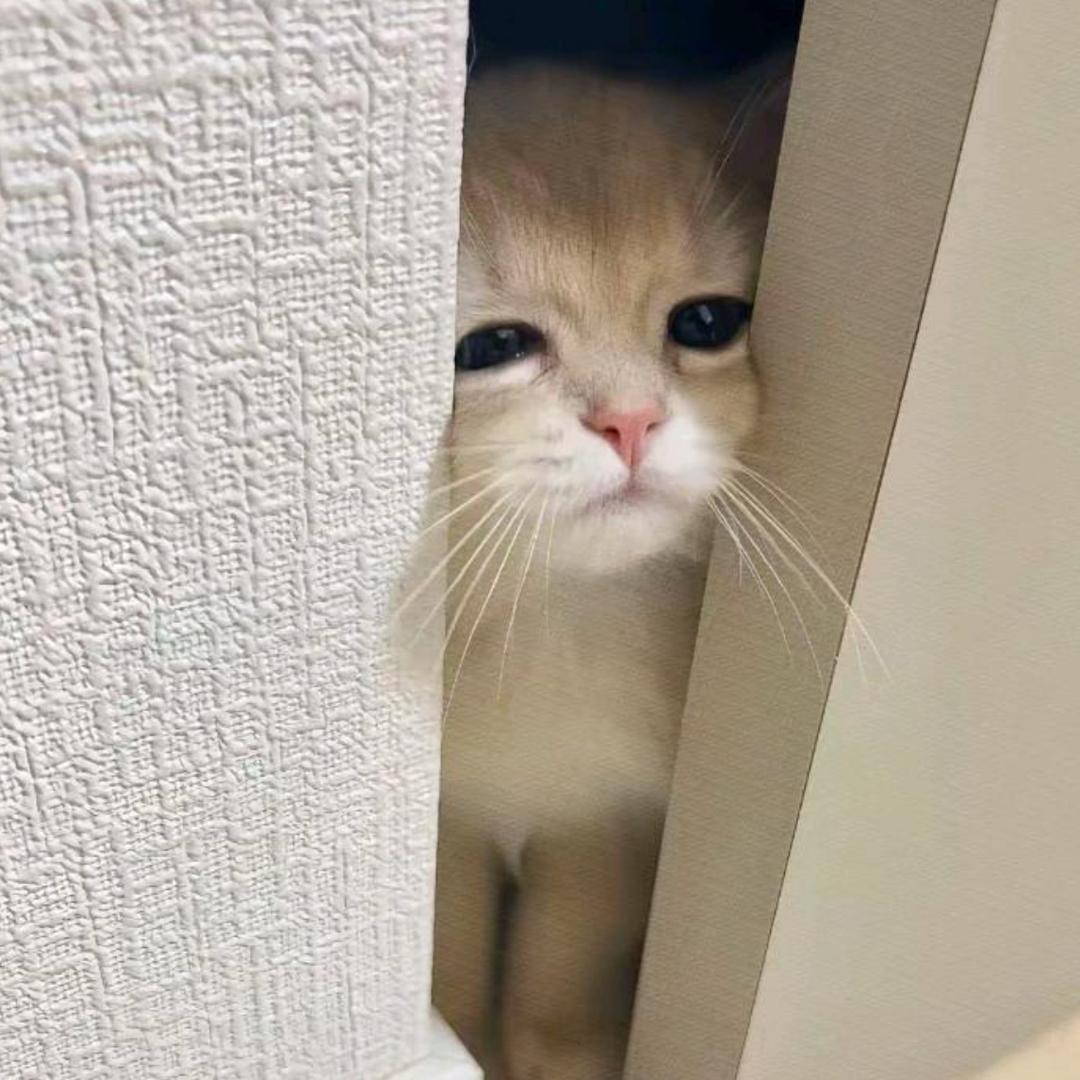 uu