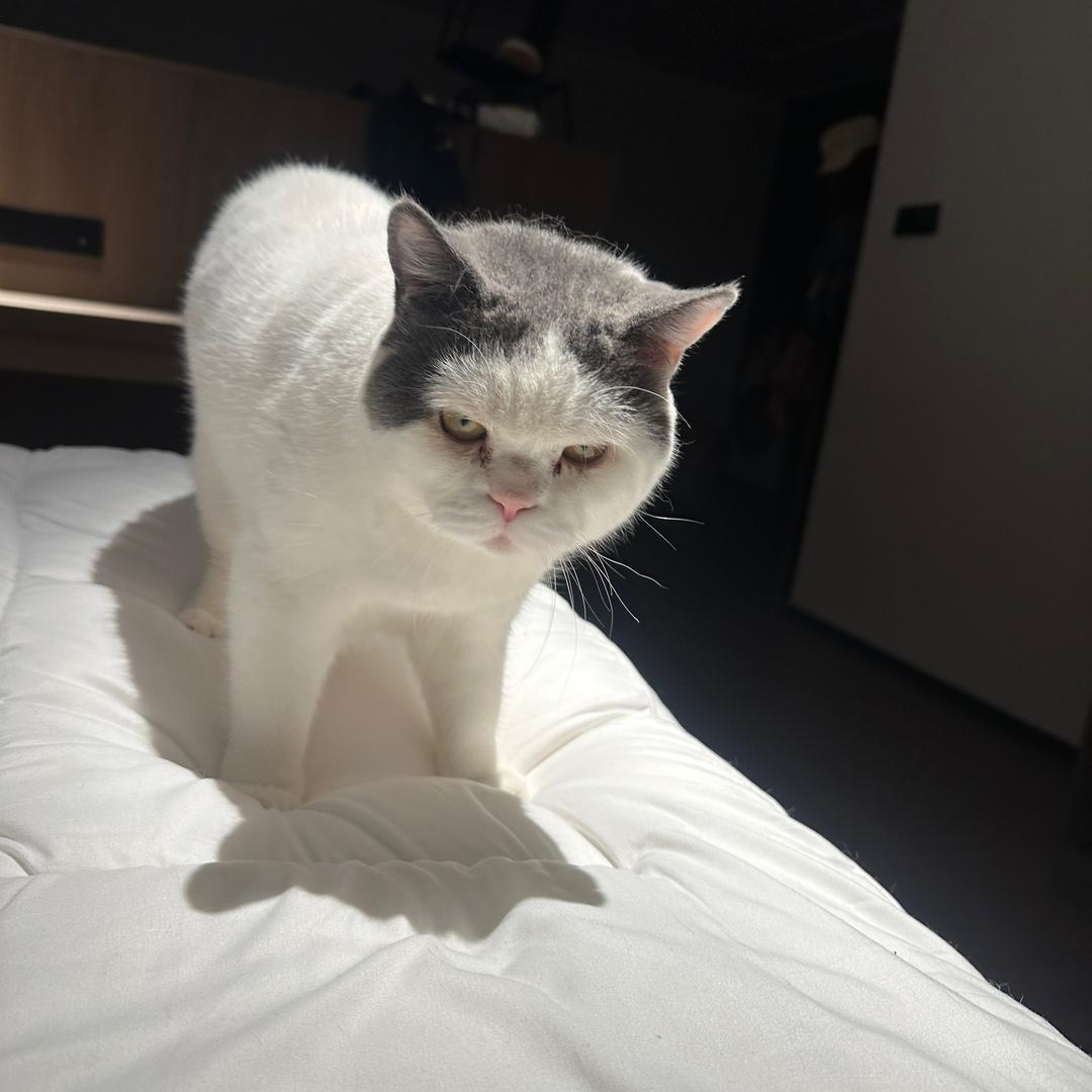 小 k#