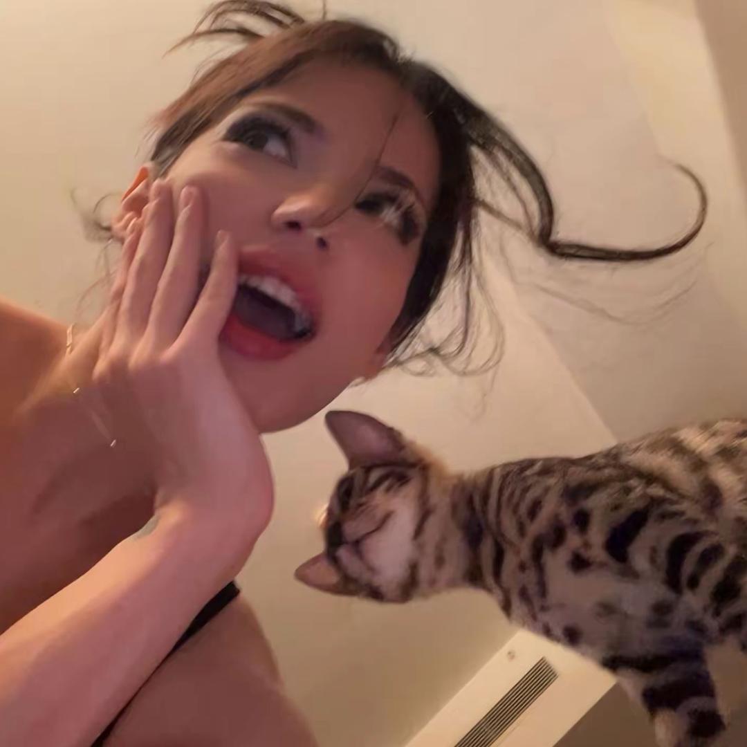 不吃包菜