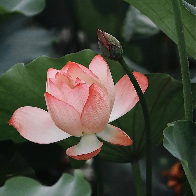 南沐老师爱分享