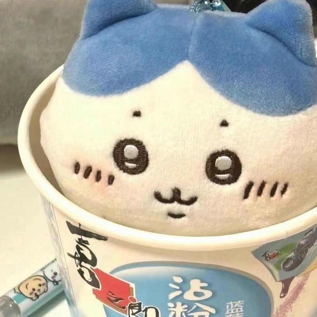 鑫崽（贴心直属）