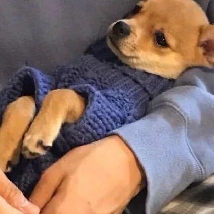 摄影大街