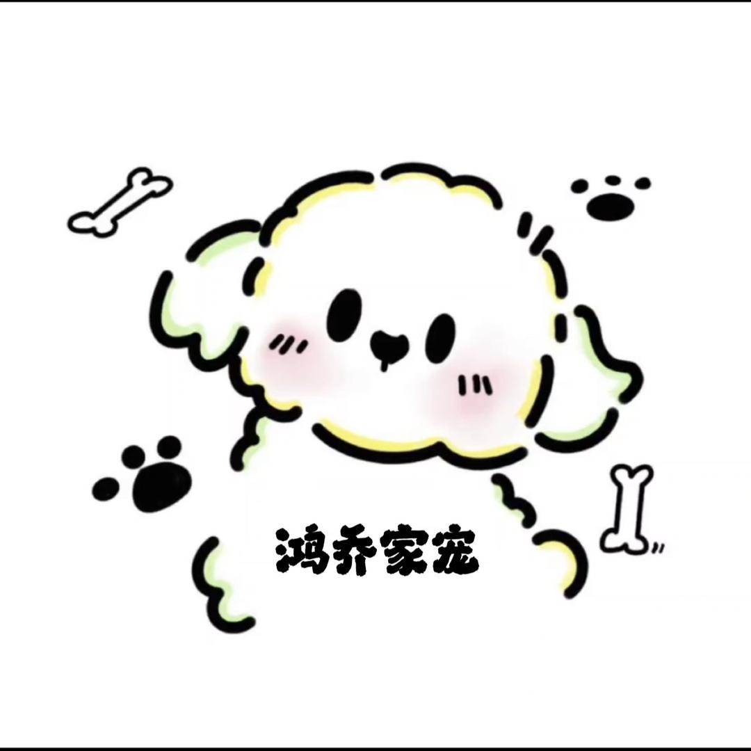 鸿乔家宠