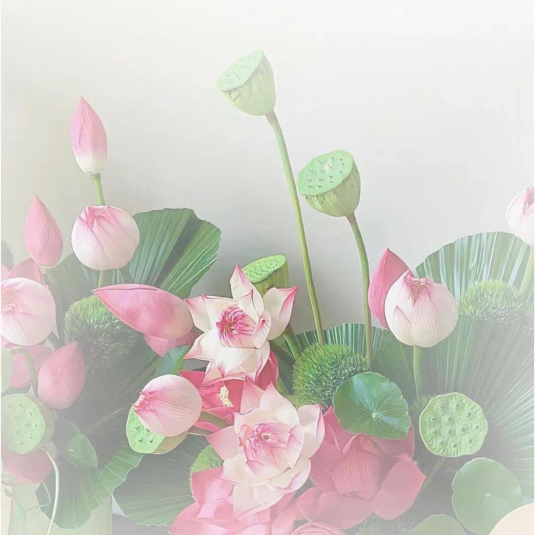 大胆花