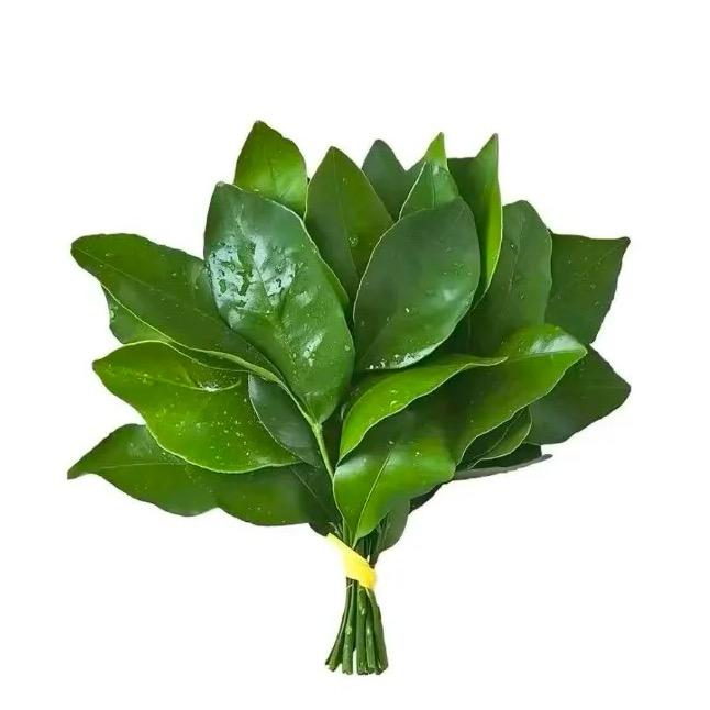 红烧鱼丸（以疯版）