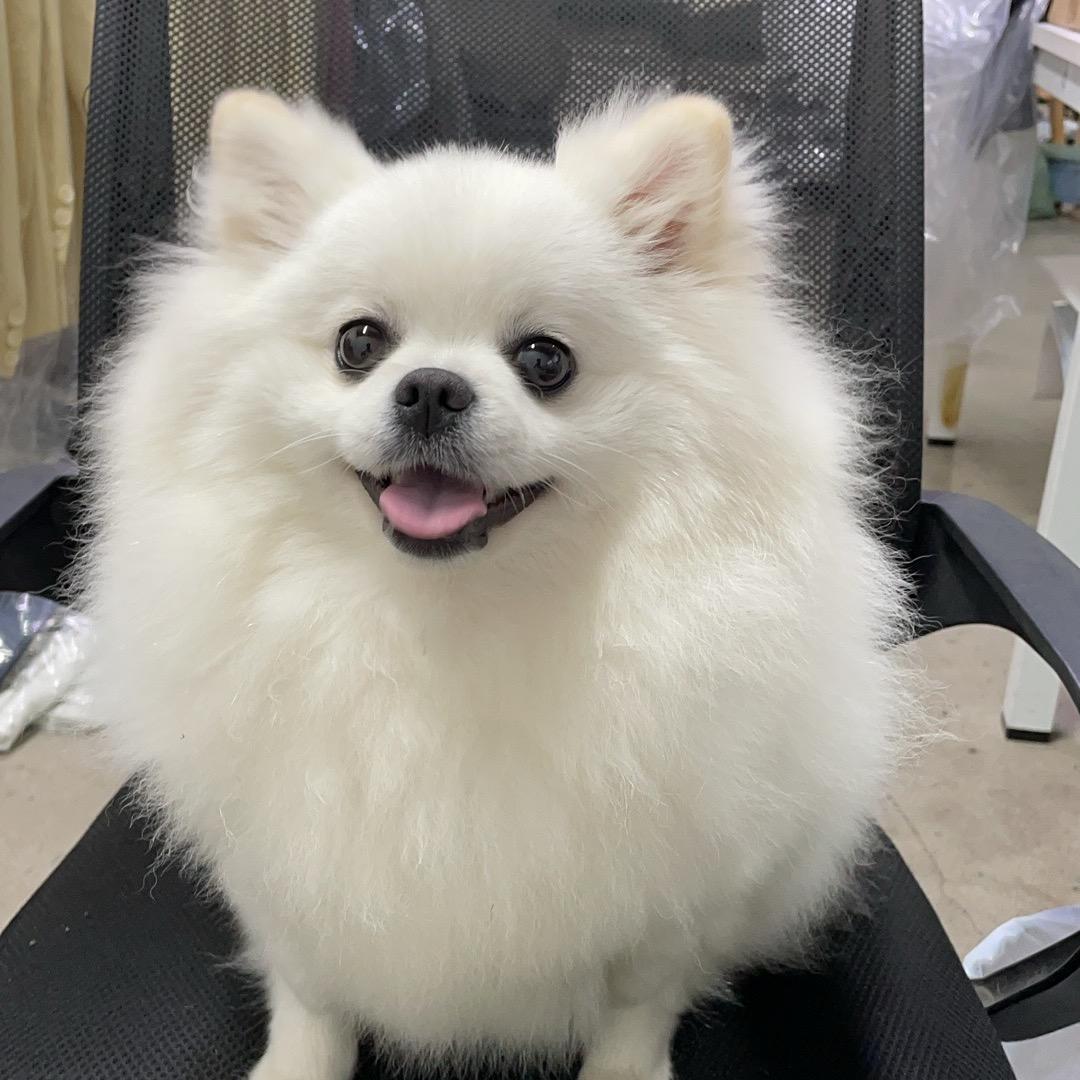 大鱼吃小鱼