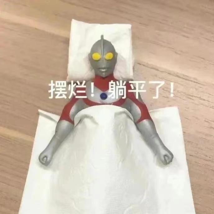 坚强的小储