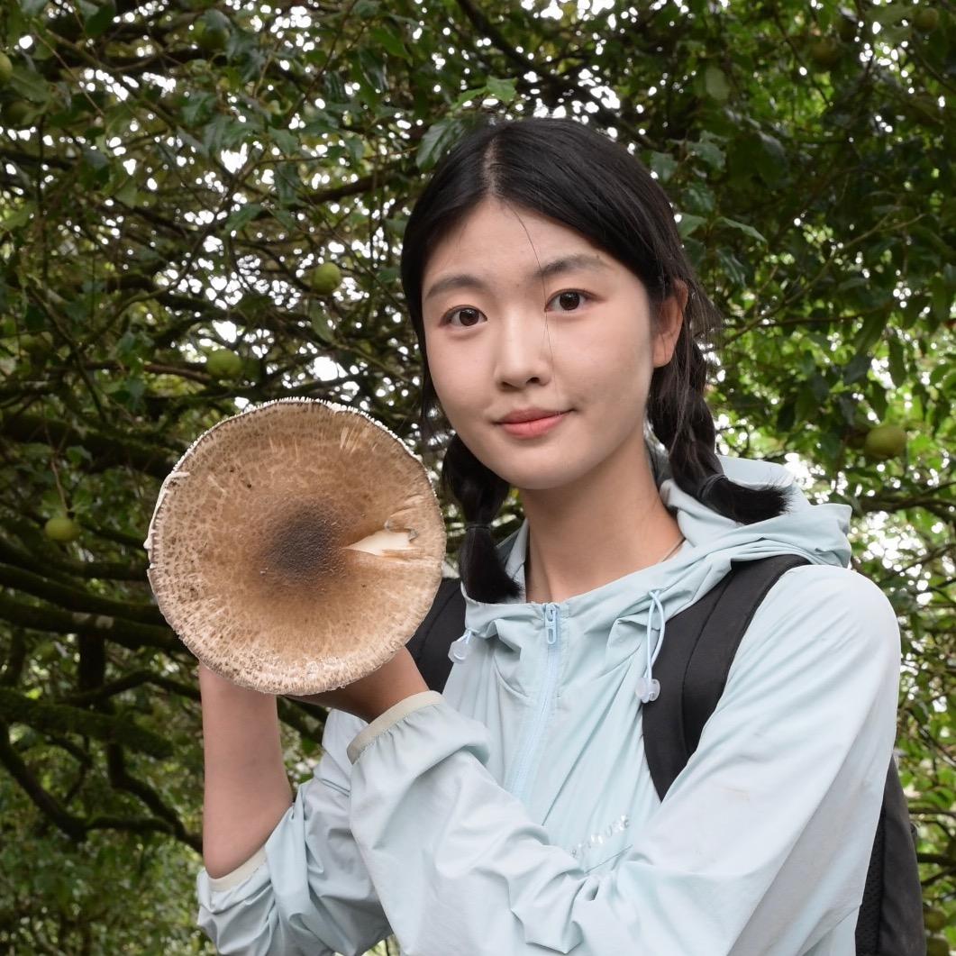 云南山师傅@抖音