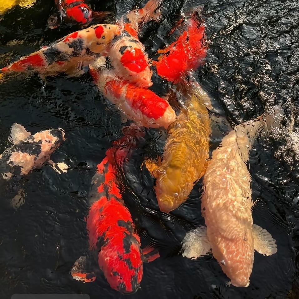 🌈周末钓鱼🫥🎣