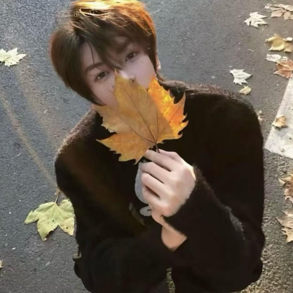 呆呆源