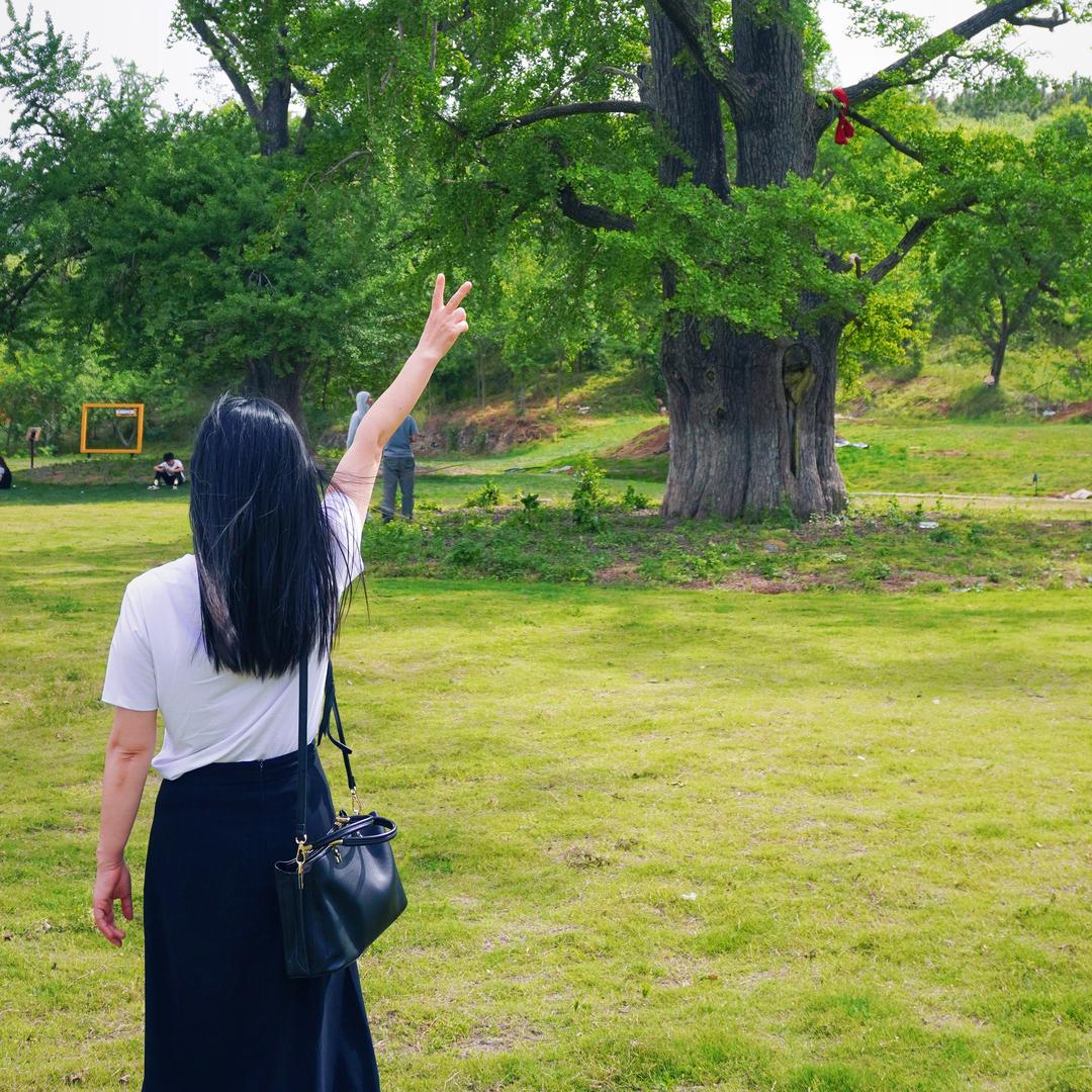小琴要自律