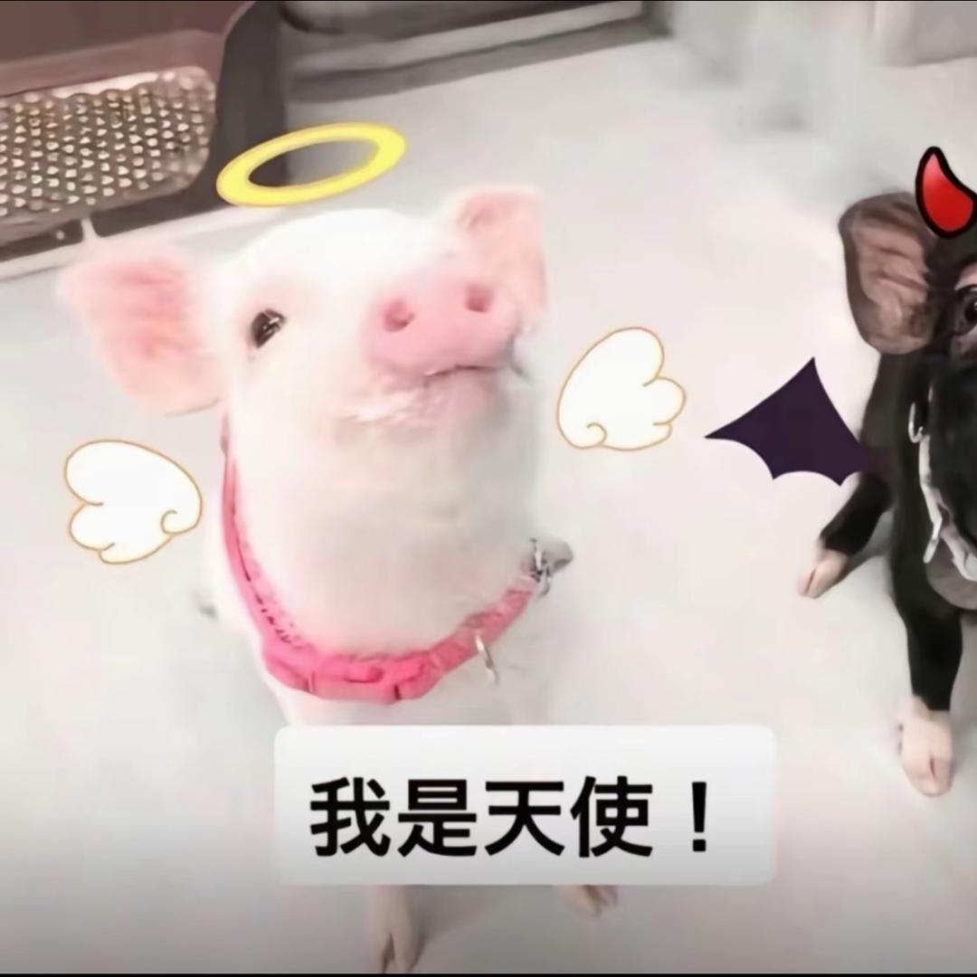 低调的黄豆.