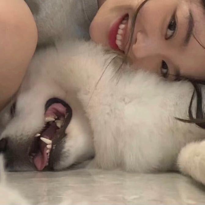 老婆饼里没老婆.