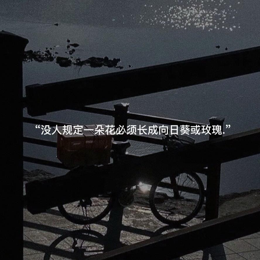 分享好歌🎵