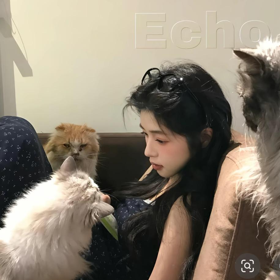 发财.