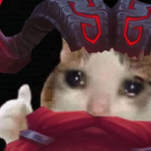 斗魂洪妹(女护)