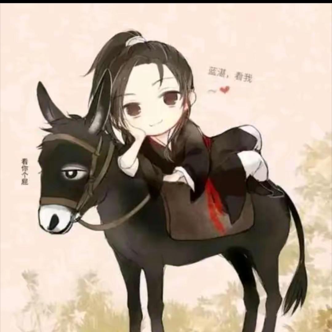 骑着毛驴逛酒吧