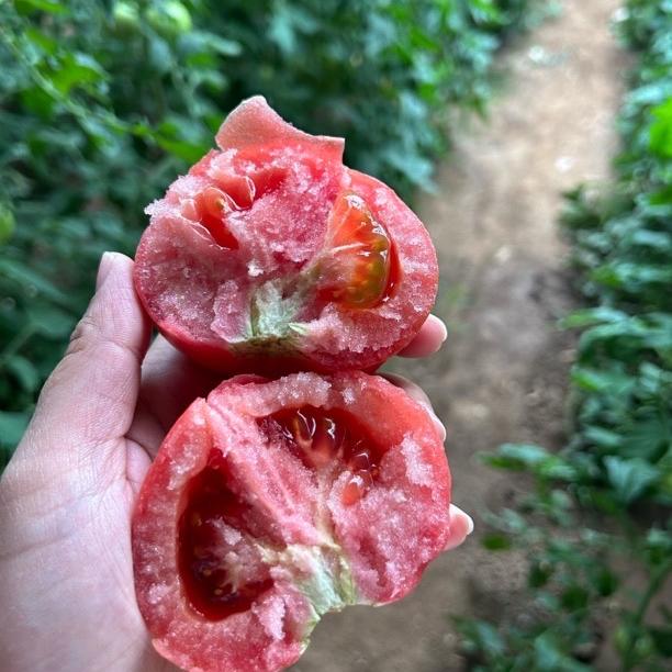 志鹏生鲜
