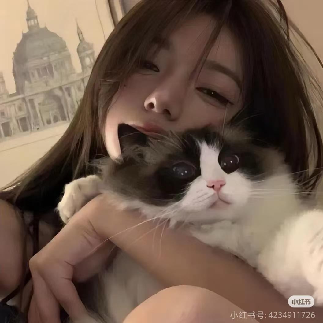 呆呆秋