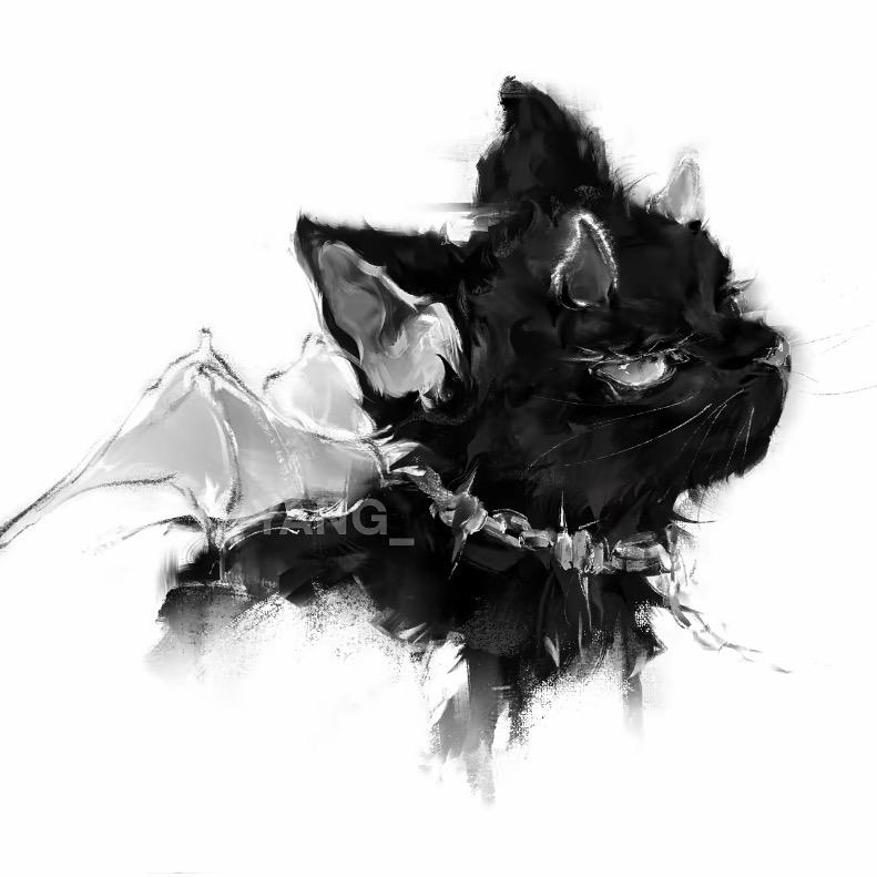 BLACKCAT🐈‍⬛