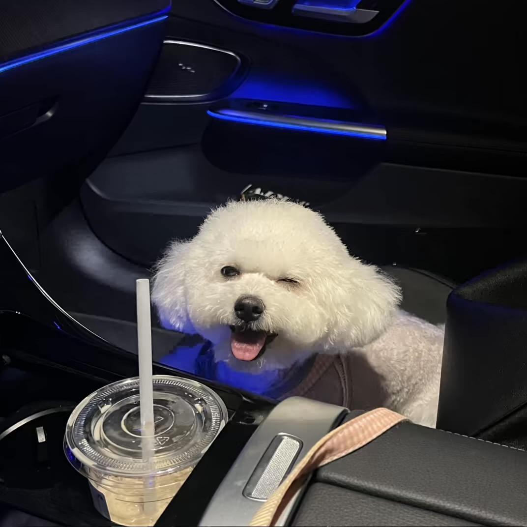 福清网红婚车租车-程