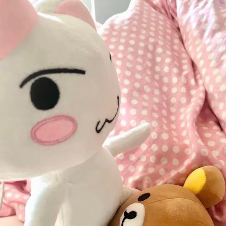 玉婷主人