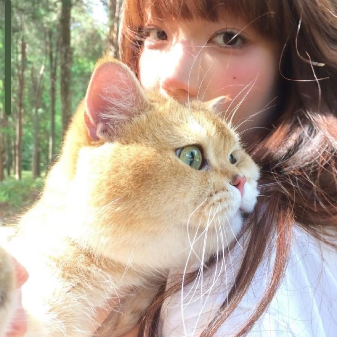 西溪