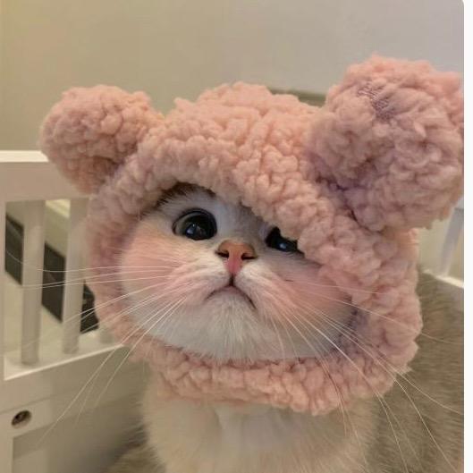 小猴子🐒
