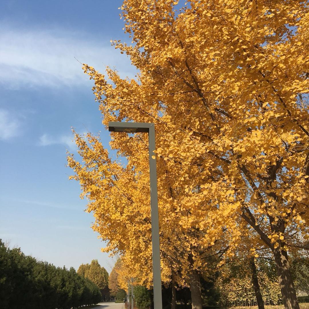 特别
