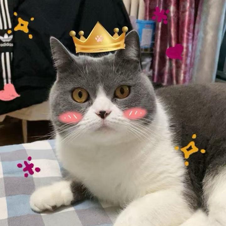 天官赐福🧧