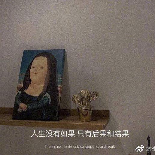 D.茉
